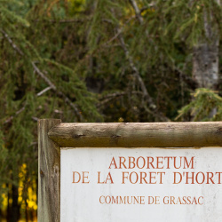 Communes